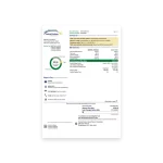 قبض برق نیویورک